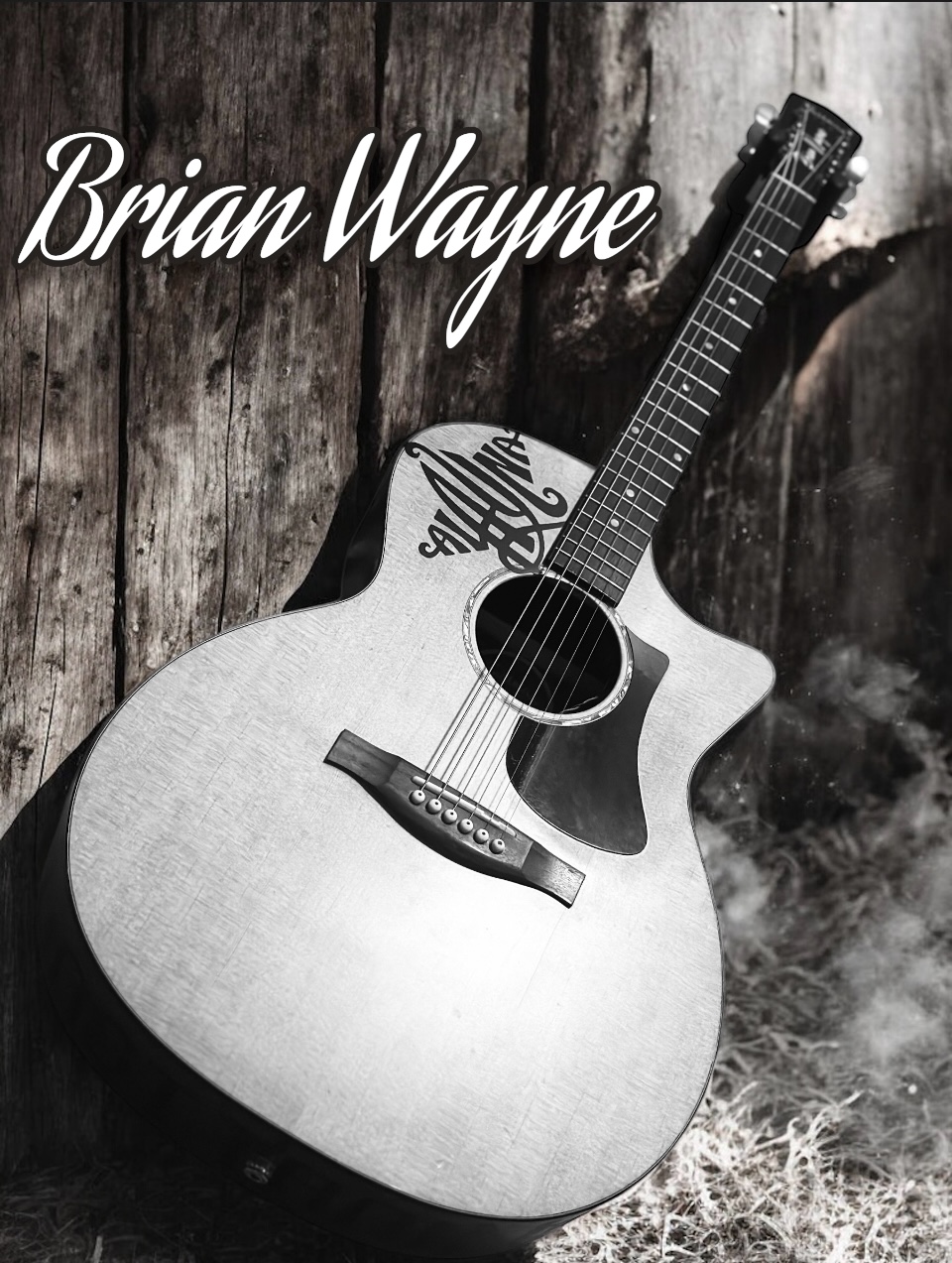 Brian Wayne Music