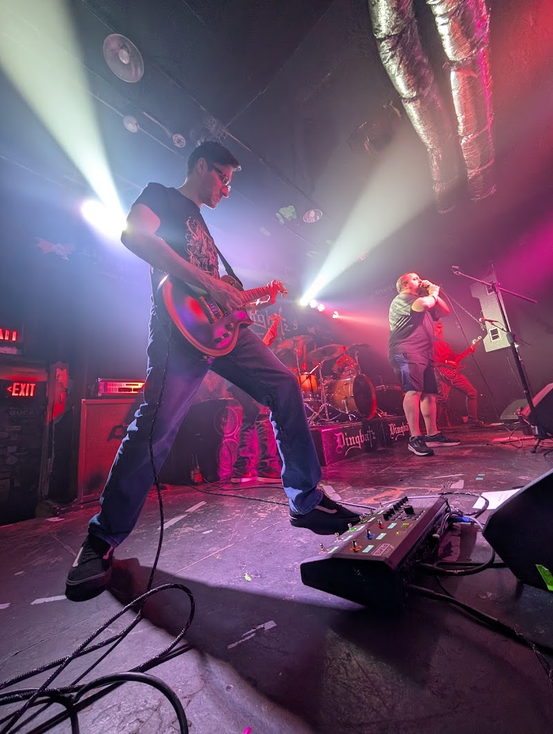 Dingbatz photo 10
