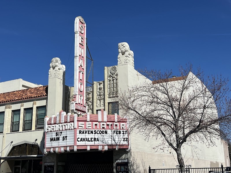 The Senator Theatre photo 1