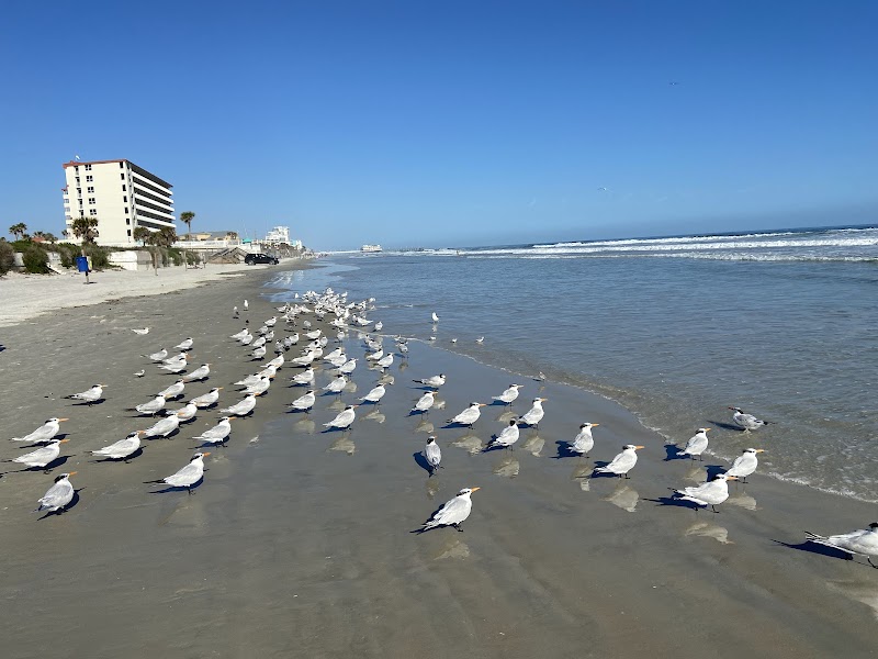 Daytona Beach Bandshell photo 7