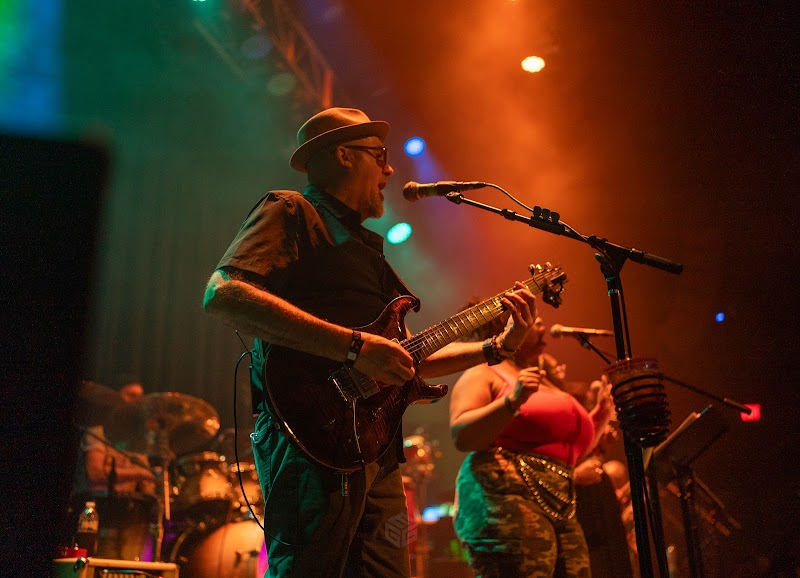The Slowdown photo 3