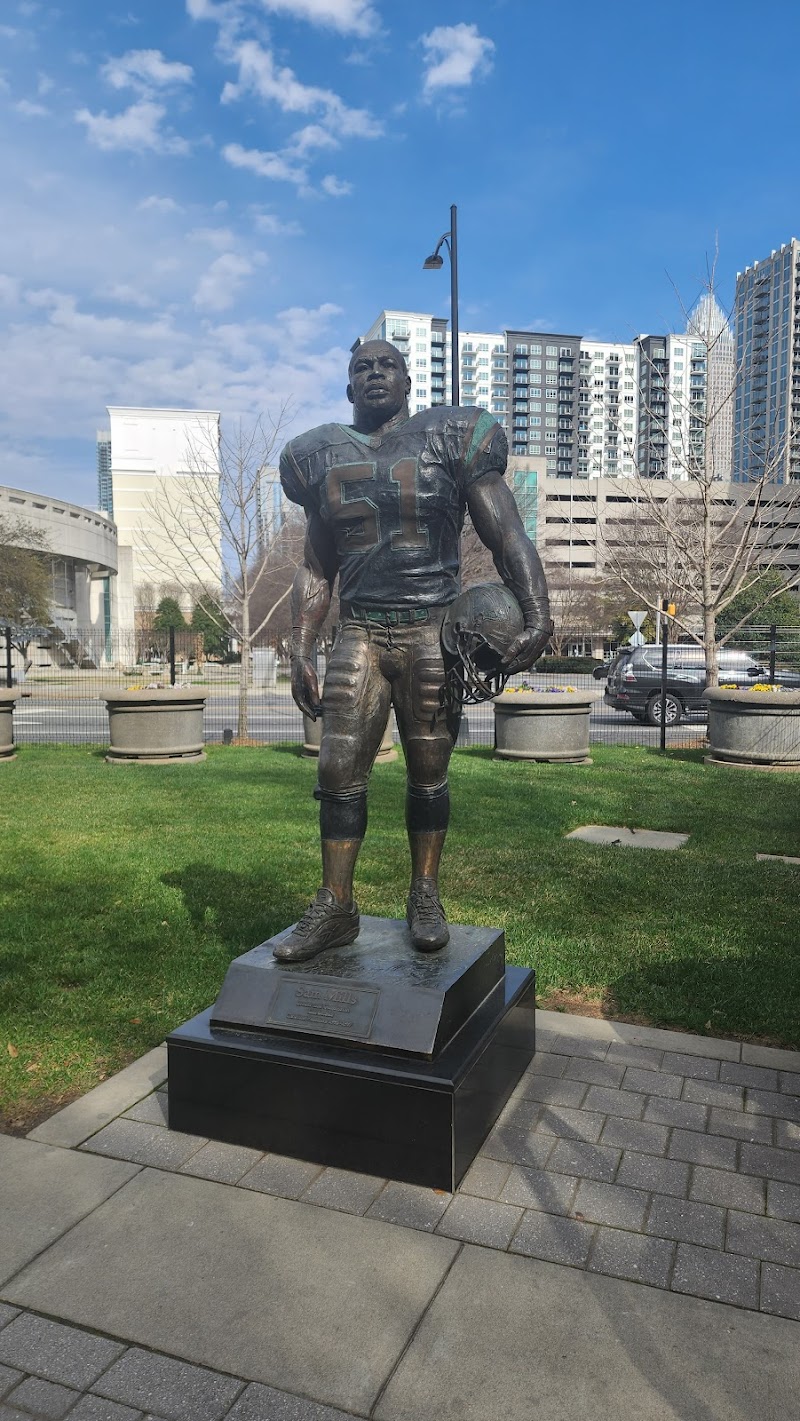 Bank of America Stadium photo 17