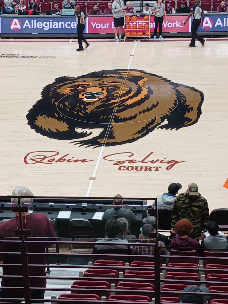 Dahlberg Arena photo 1
