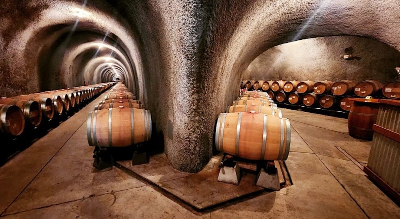 Gundlach Bundschu Winery photo 2