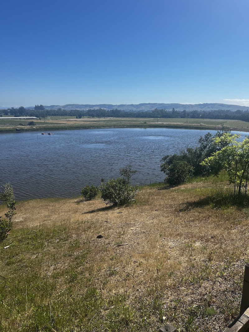 Gundlach Bundschu Winery photo 6