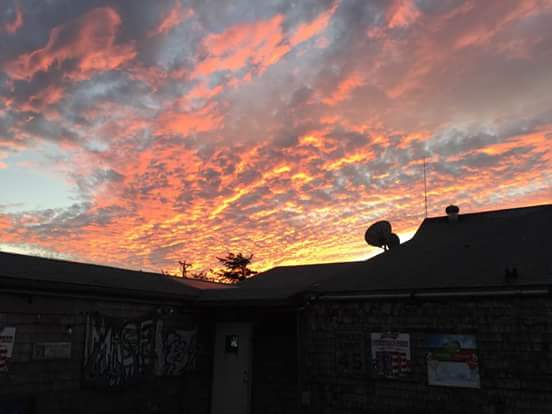 The Muse & Pizza Joint photo 6