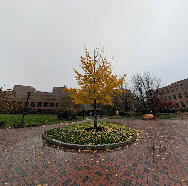 Rochester Institute of Technology photo 1