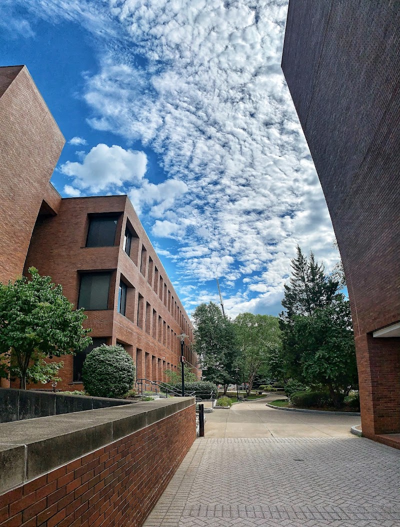 Rochester Institute of Technology photo 5