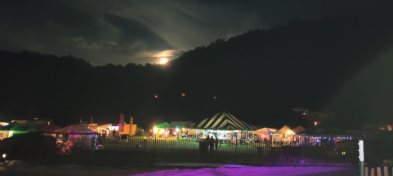 Driftless Music Gardens photo 4