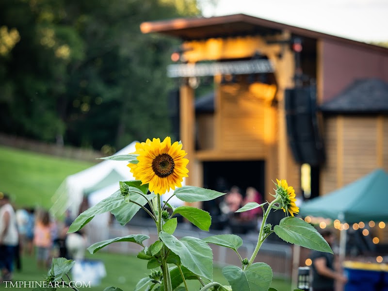 Driftless Music Gardens photo 5