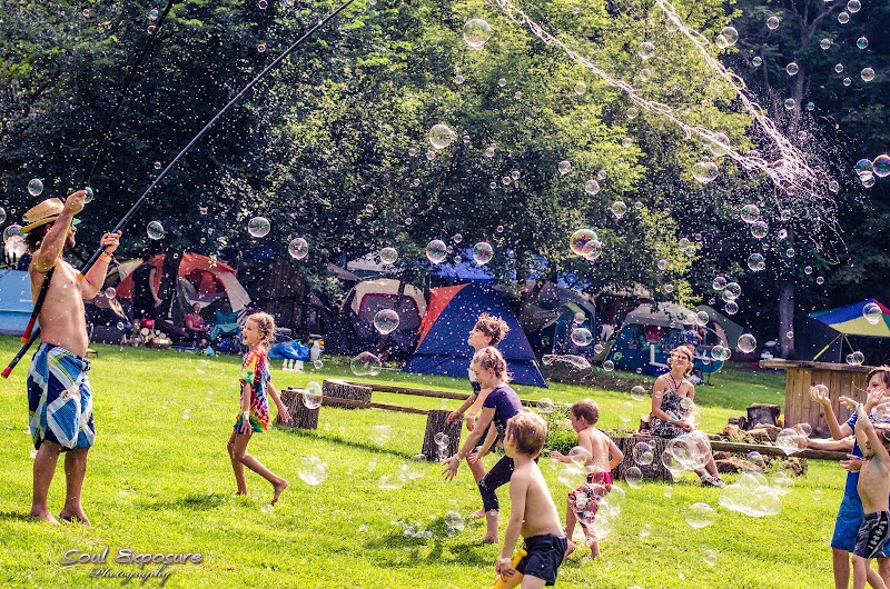 Driftless Music Gardens photo 9