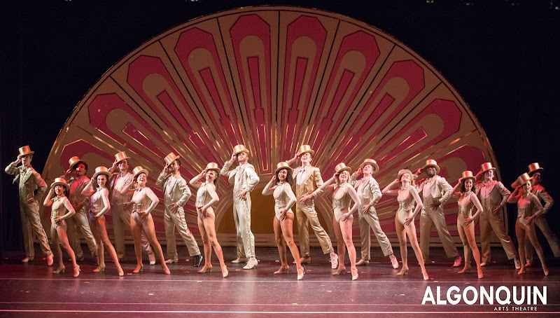 Algonquin Arts Theatre photo 7