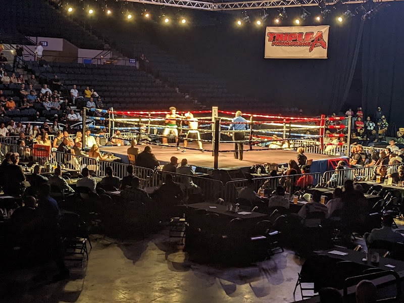 Sames Auto Arena photo 5