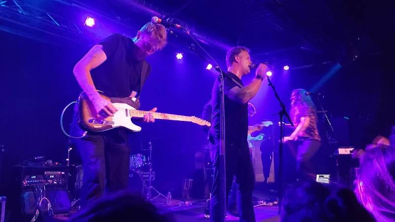 Paper Tiger photo 4