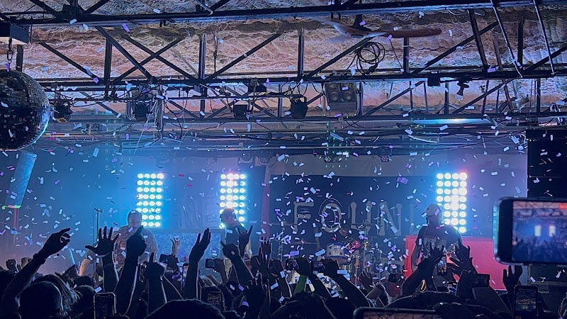 Paper Tiger photo 10