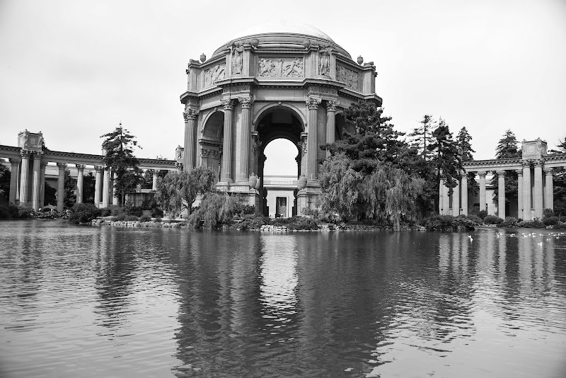 Palace of Fine Arts Theatre photo 4