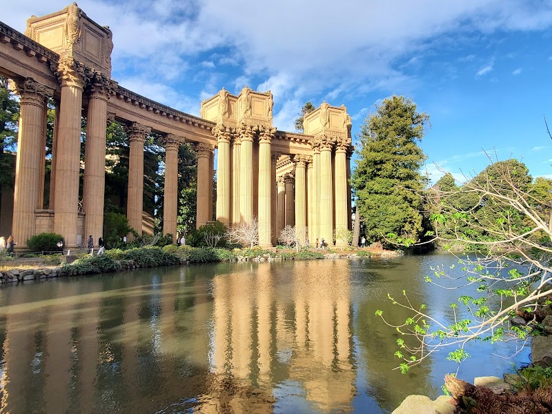 Palace of Fine Arts Theatre photo 10