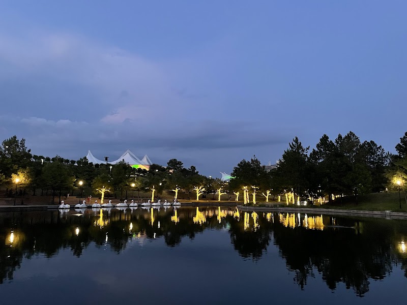 The Cynthia Woods Mitchell Pavilion photo 10