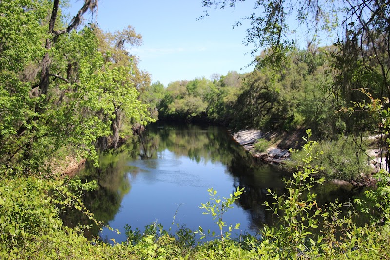 Spirit of the Suwannee Music Park & Campground photo 4
