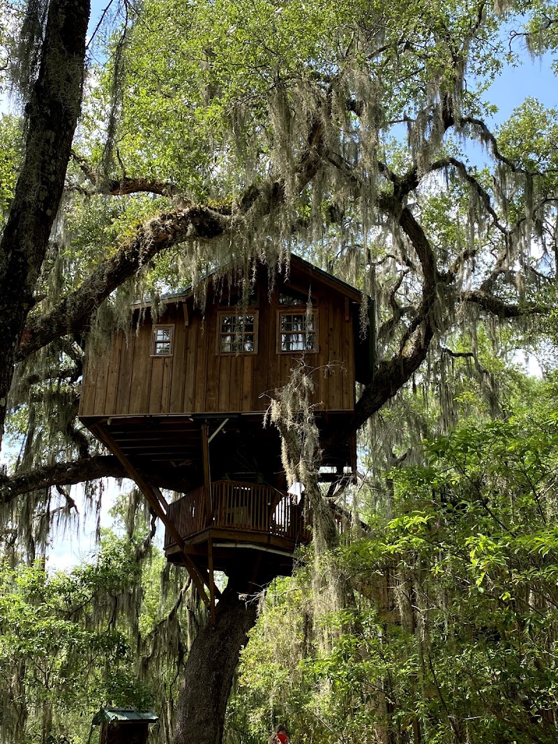 Spirit of the Suwannee Music Park & Campground photo 5