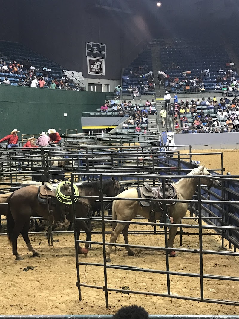 Mississippi Coliseum photo 5