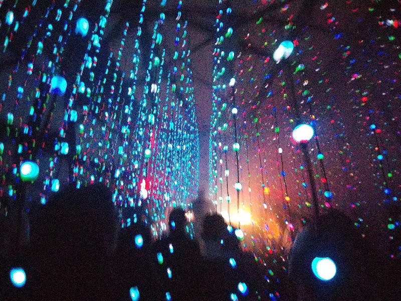 National Sawdust photo 6