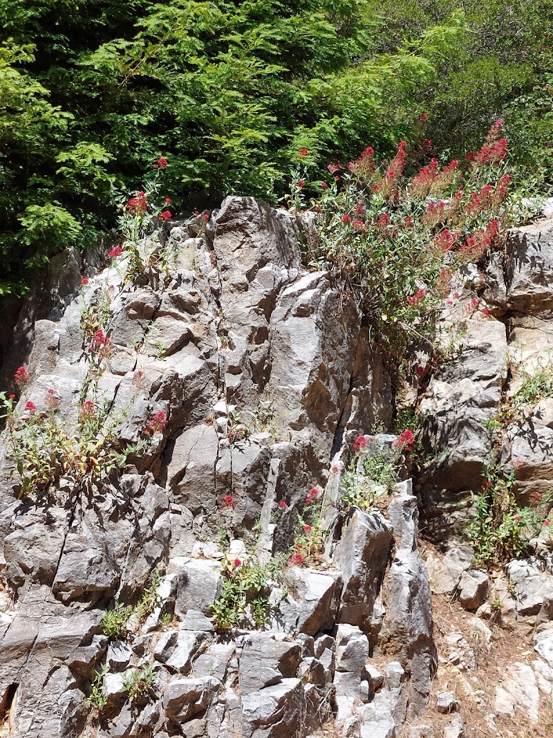 Quarry Amphitheater photo 10