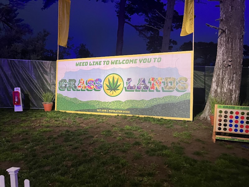 Outside Lands photo 5