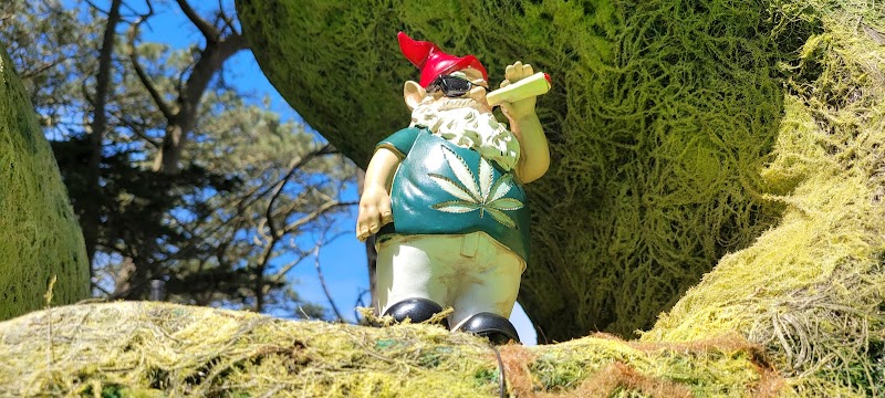 Outside Lands photo 10