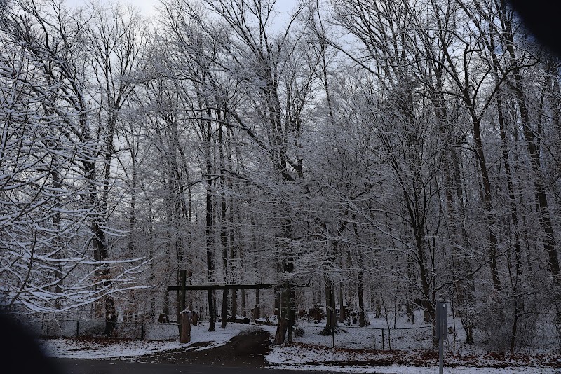 Iroquois Amphitheater photo 19