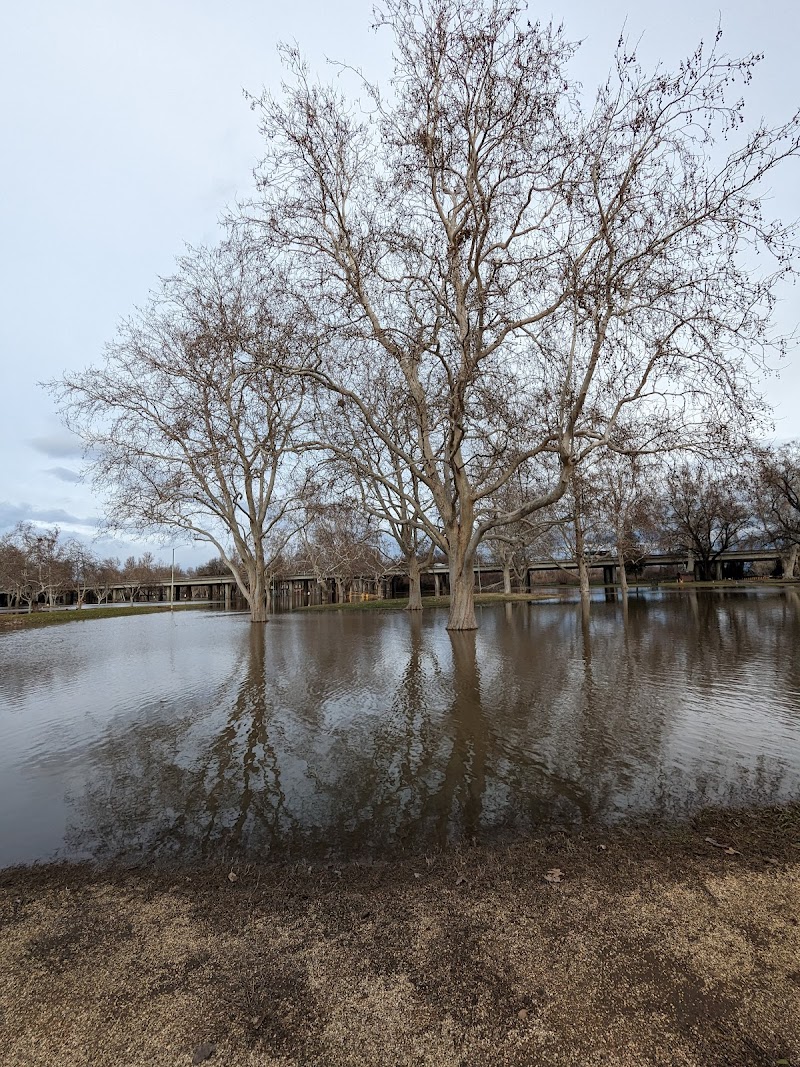 Discovery Park photo 9