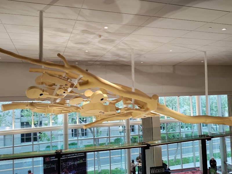 SAFE Credit Union Performing Arts Center photo 9