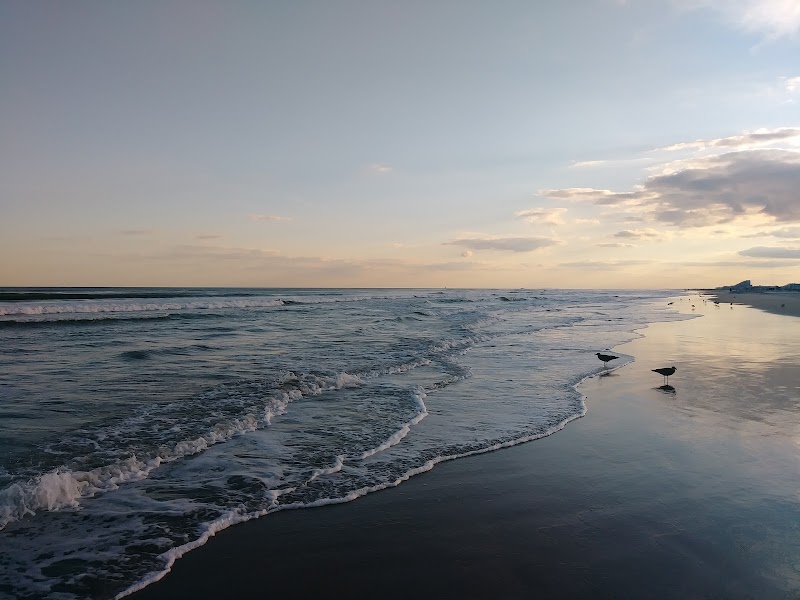 Wildwoods Convention Center photo 7
