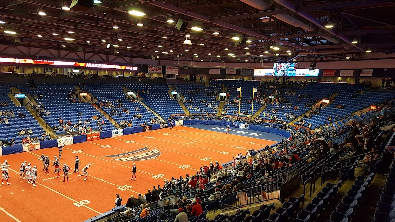 Grossinger Motors Arena photo 14
