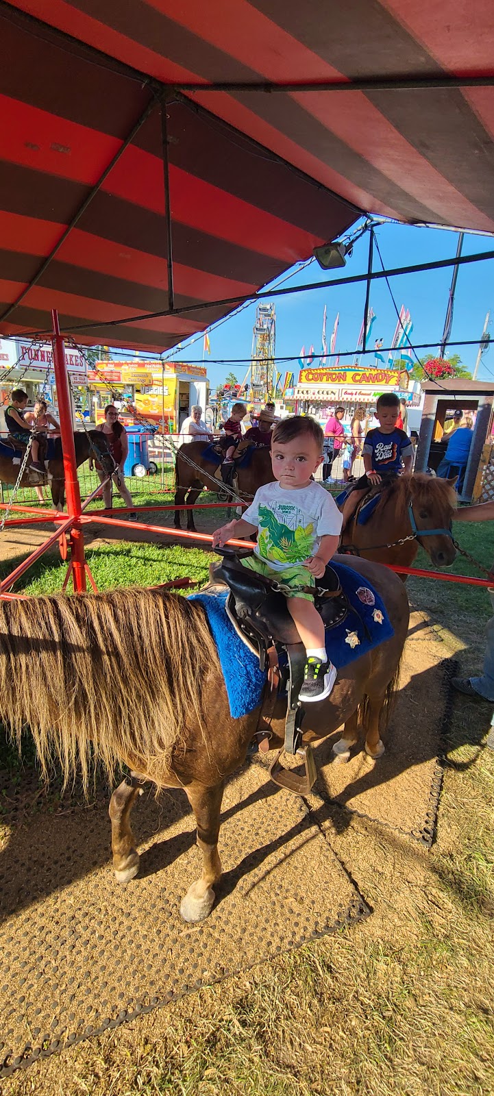 Allen County Fairgrounds photo 3