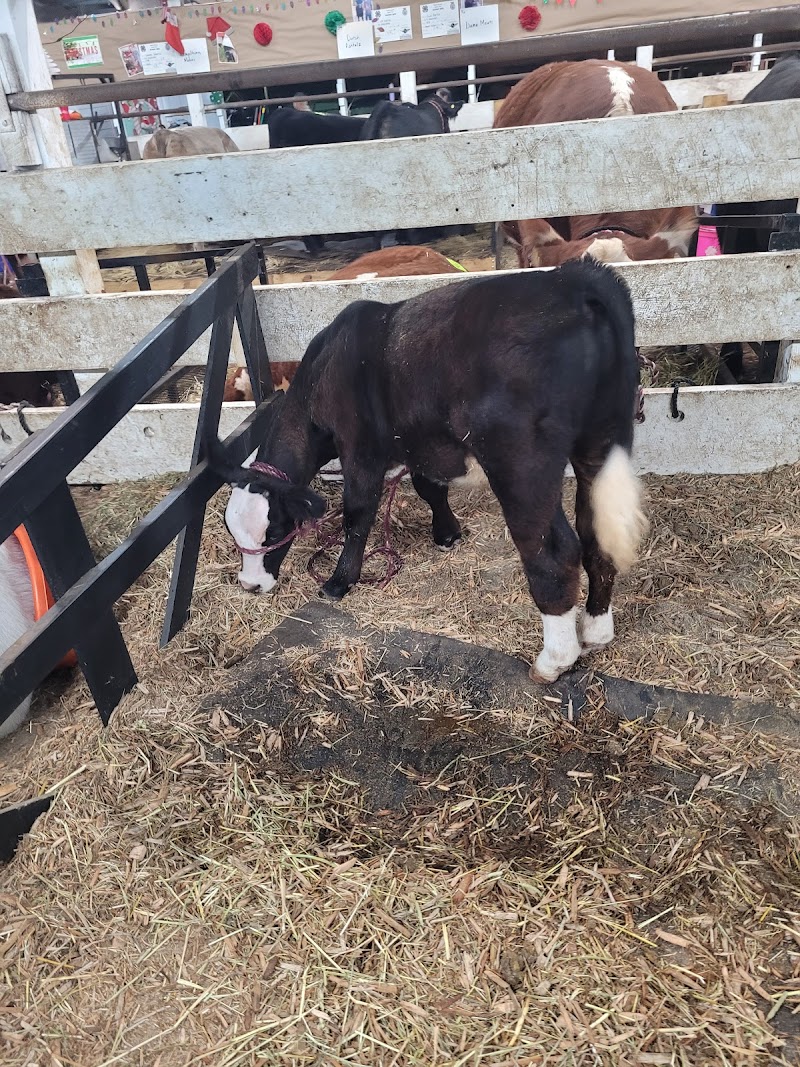 Stark County Fairgrounds photo 3