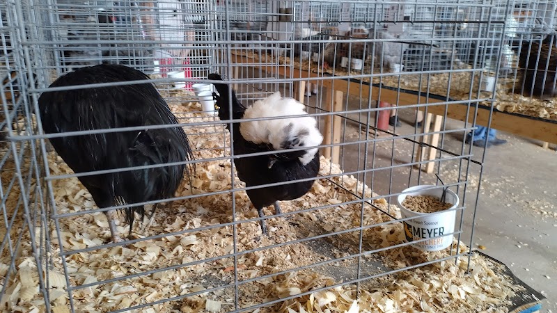 Stark County Fairgrounds photo 8