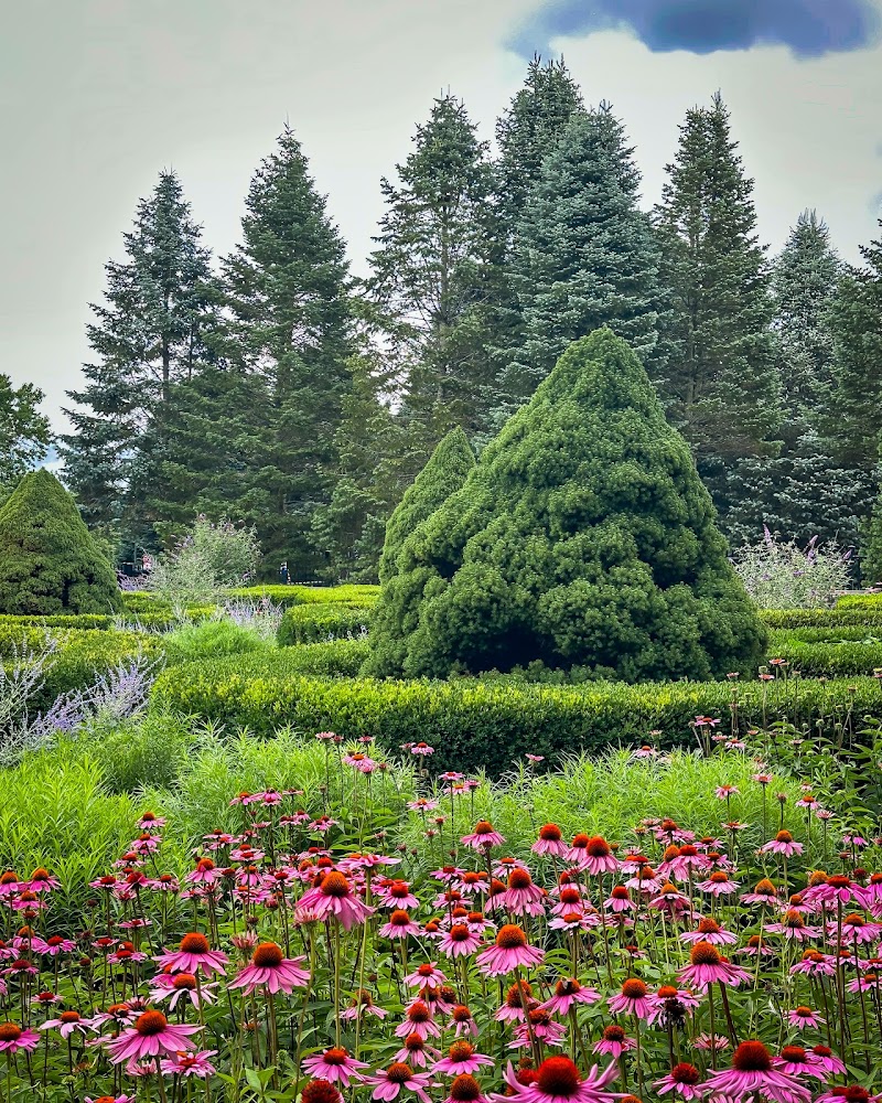 Blossom Music Center photo 18