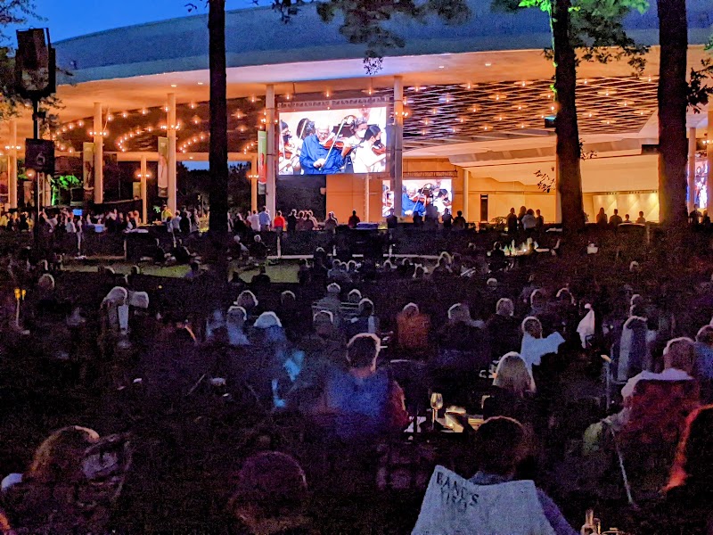 Ravinia Festival photo 6