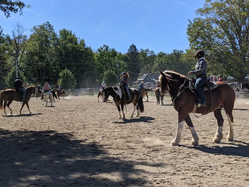 Cattaraugus County Fairgrounds photo 8