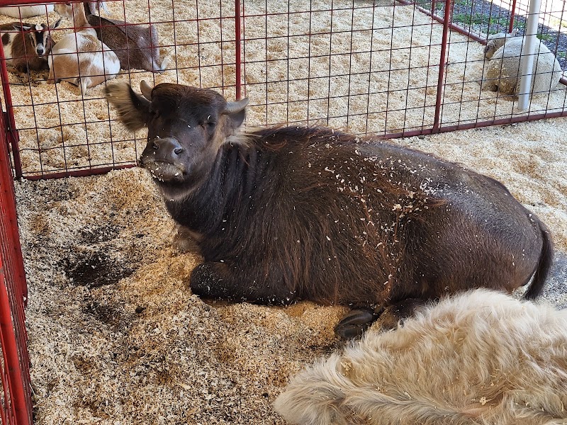 Sioux Empire Fair photo 6