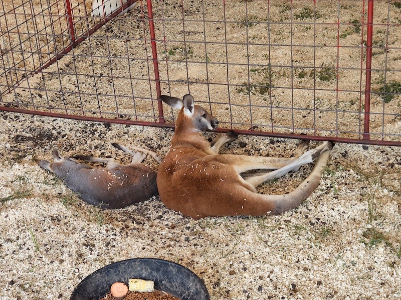 Sioux Empire Fair photo 10