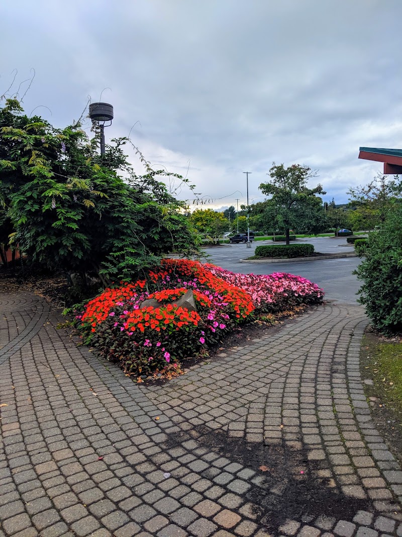 Tulalip Amphitheatre photo 8