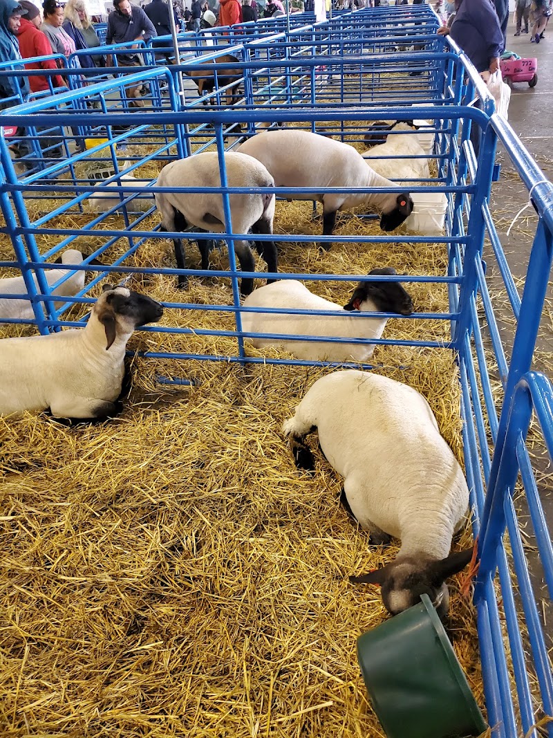 Alaska State Fair photo 4