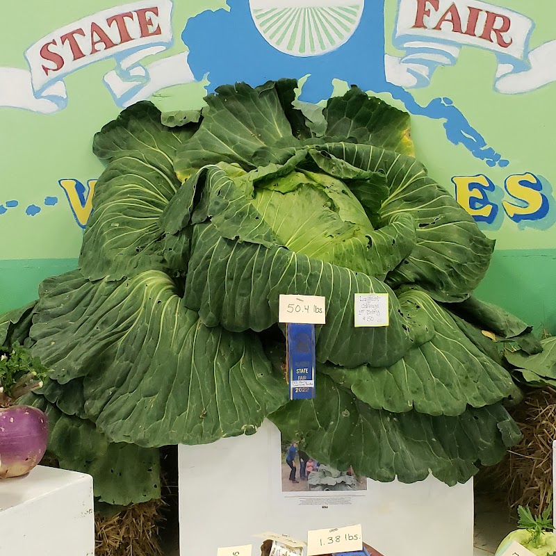 Alaska State Fair photo 8