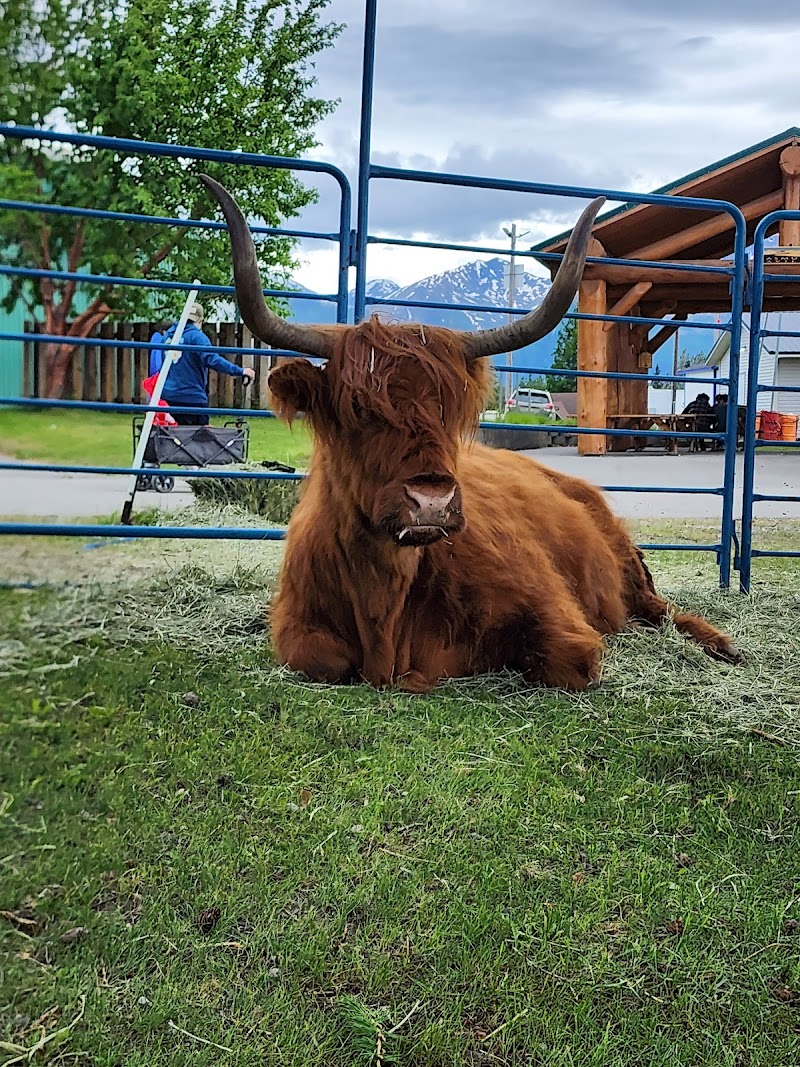 Alaska State Fair photo 10