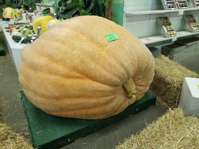Alaska State Fair photo 12