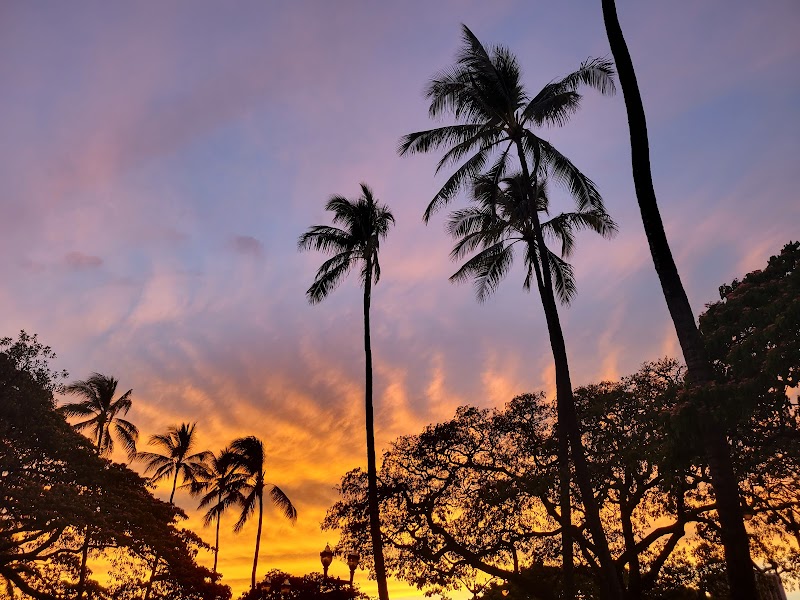 Tom Moffatt Waikiki Shell photo 7