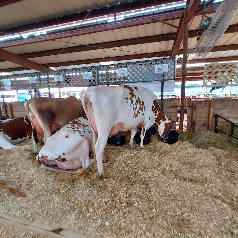 Rockingham County Fair photo 7