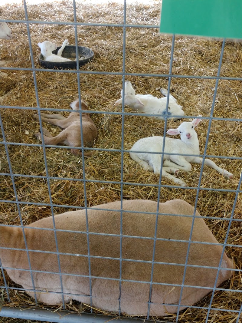 Porter County Fairgrounds photo 20